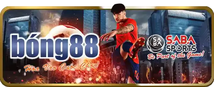 Hỗ trợ VIP 24/7 của Vila88